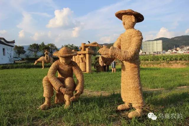 华溪村为啥一夜就火了,华溪村为什么突然火了