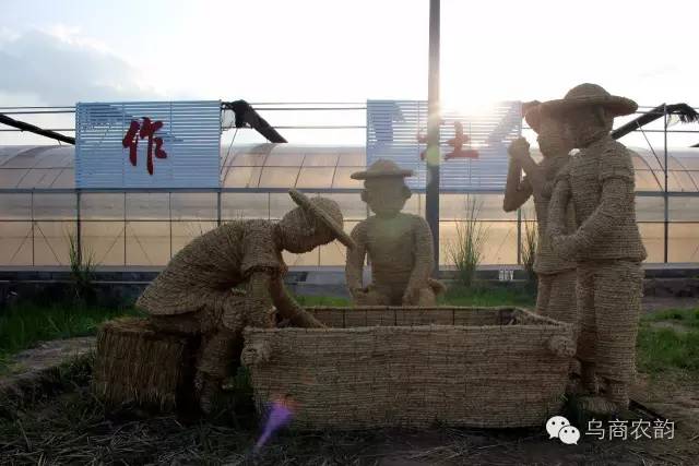 华溪村为啥一夜就火了,华溪村为什么突然火了