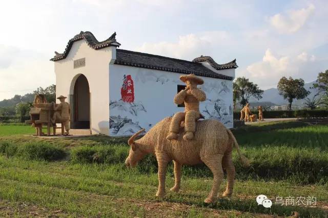 华溪村为啥一夜就火了,华溪村为什么突然火了