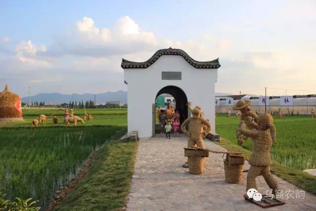 华溪村为啥一夜就火了,华溪村为什么突然火了