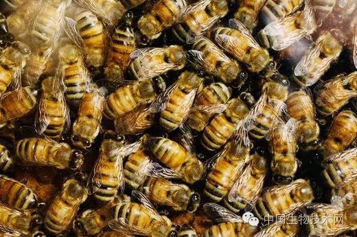 满清十大酷刑已逝，医疗九大“酷刑“还在沿用