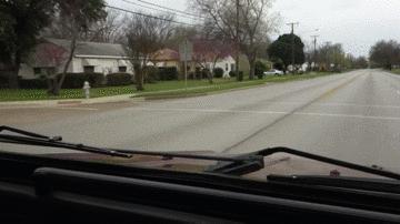 [侃]甲壳虫的亲戚——TheThing