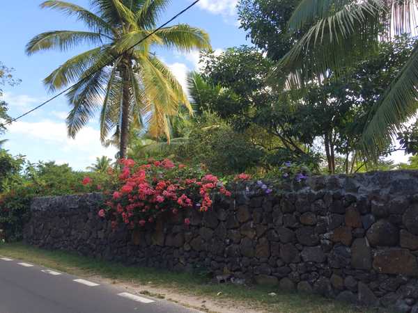 印度洋中的蜜月胜地毛里求斯,毛里求斯旅行的天堂