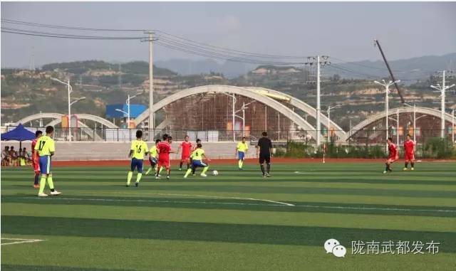 陇南八运会,陇南八运会篮球比赛