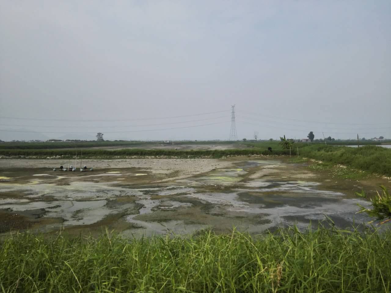 新思路新探索新模式,新模式水产养殖鱼苗