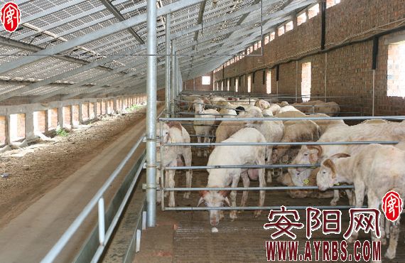 安阳光伏,安阳光伏政策