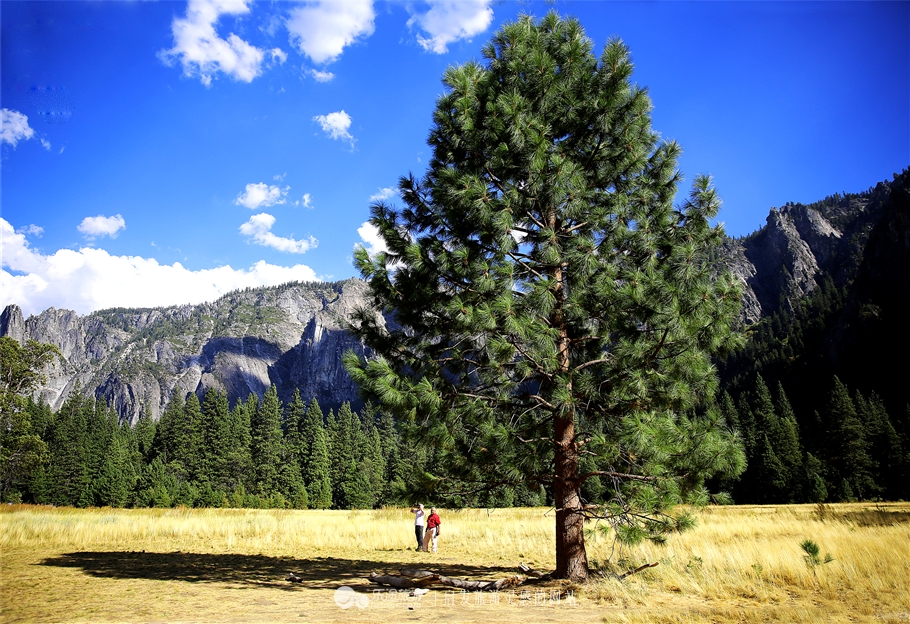人间仙境优胜美地图片,优胜美地国家公园十大景观