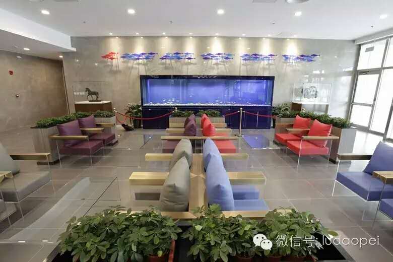 陆道培血液病医院在北京排名,北京陆道培血液病医院第三团队