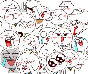 梦想在这里插上翅膀，她们眼中的爱尚美