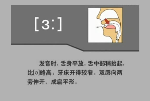 音标表48个国际音标发音教学视频,英语美式音标48个音标谐音图
