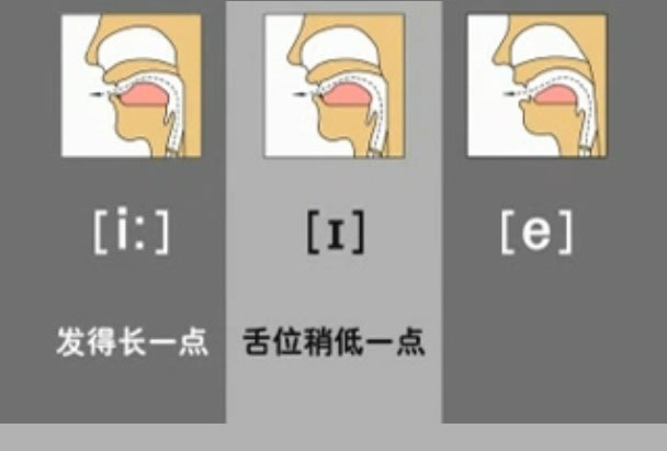 音标表48个国际音标发音教学视频,英语美式音标48个音标谐音图