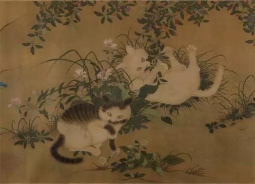 中华田园猫品种古代叫法,中华田园猫的品种介绍和图片大全