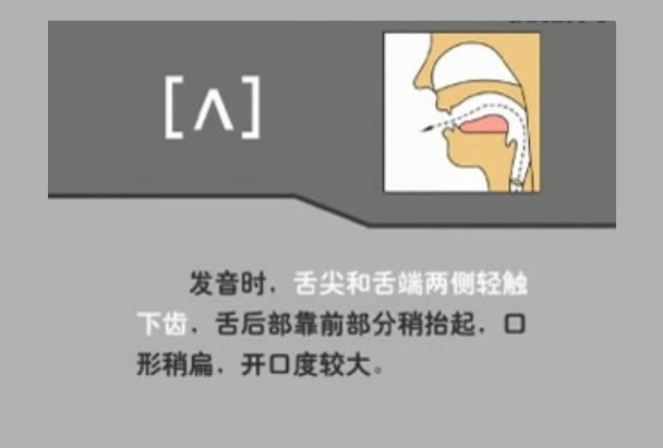 音标表48个国际音标发音教学视频,英语美式音标48个音标谐音图