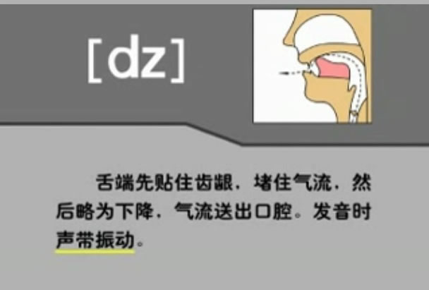 音标表48个国际音标发音教学视频,英语美式音标48个音标谐音图