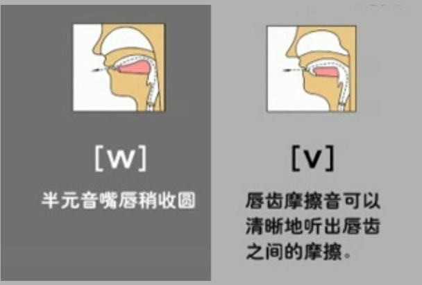 音标表48个国际音标发音教学视频,英语美式音标48个音标谐音图
