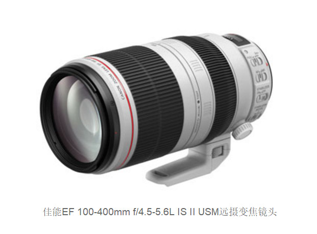 浣宠兘澶х櫧鍙傛暟,浣宠兘ef100-400f2.8涓変唬