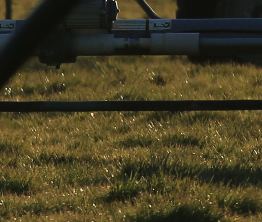 浣宠兘澶х櫧鍙傛暟,浣宠兘ef100-400f2.8涓変唬
