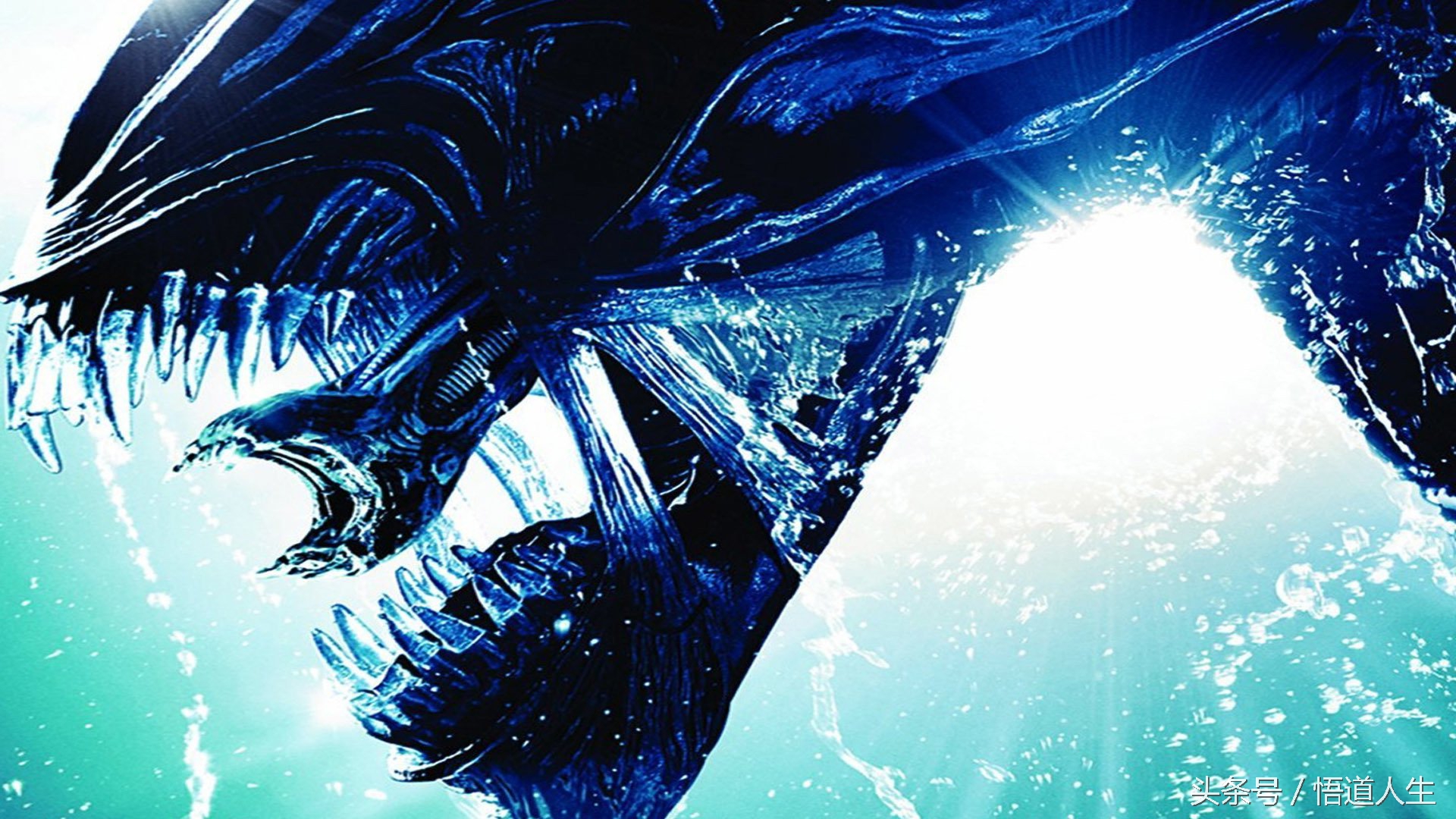 科幻片排行榜前十名独立日,科幻电影独立日