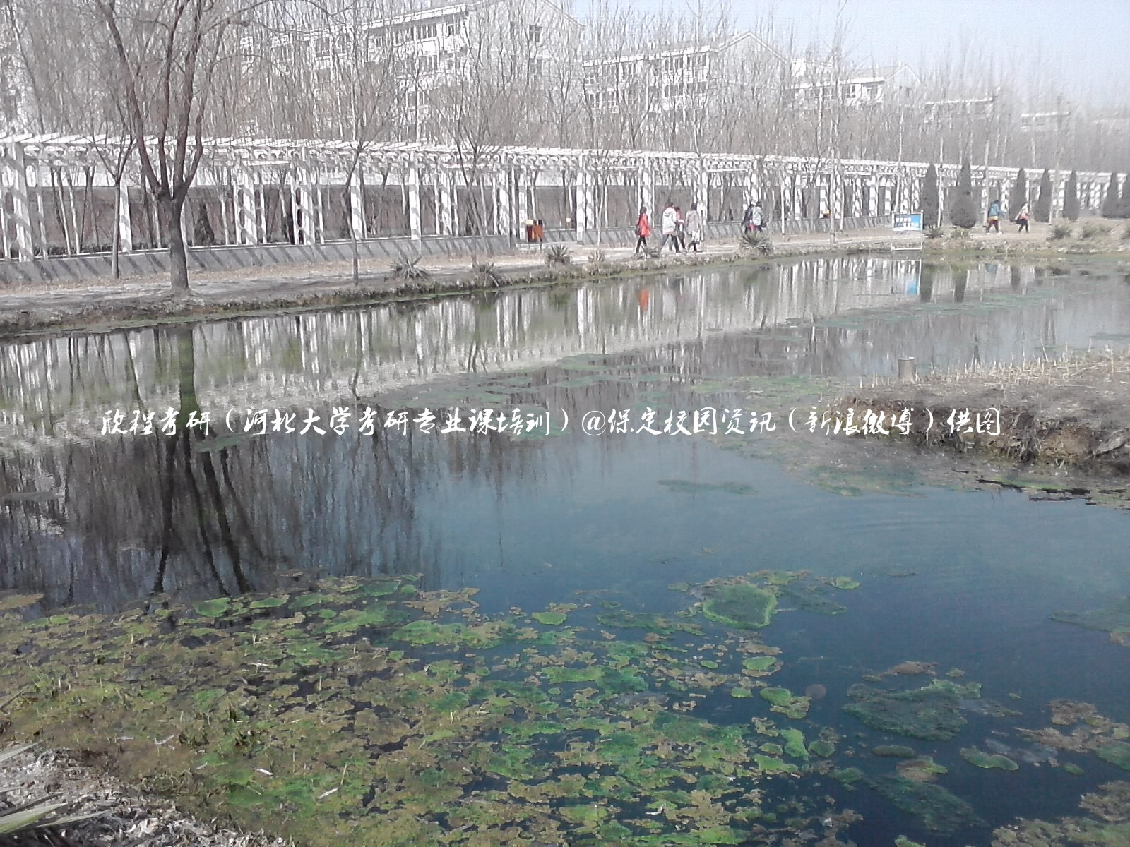 最美校园保定学院,河北最美的学院