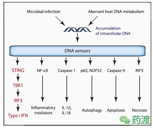 乙肝peg疗法,msc治疗乙肝