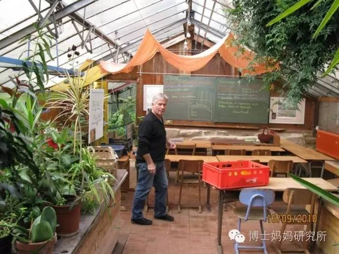 蒙台梭利华德福瑞吉欧,分析福禄贝尔和蒙台梭利