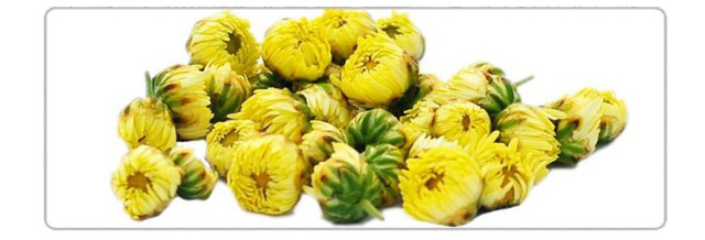 今年的新款胎菊,推荐一款胎菊