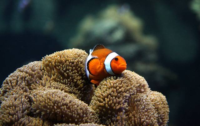 iphone一些小细节,iphone的小细节太棒了吧