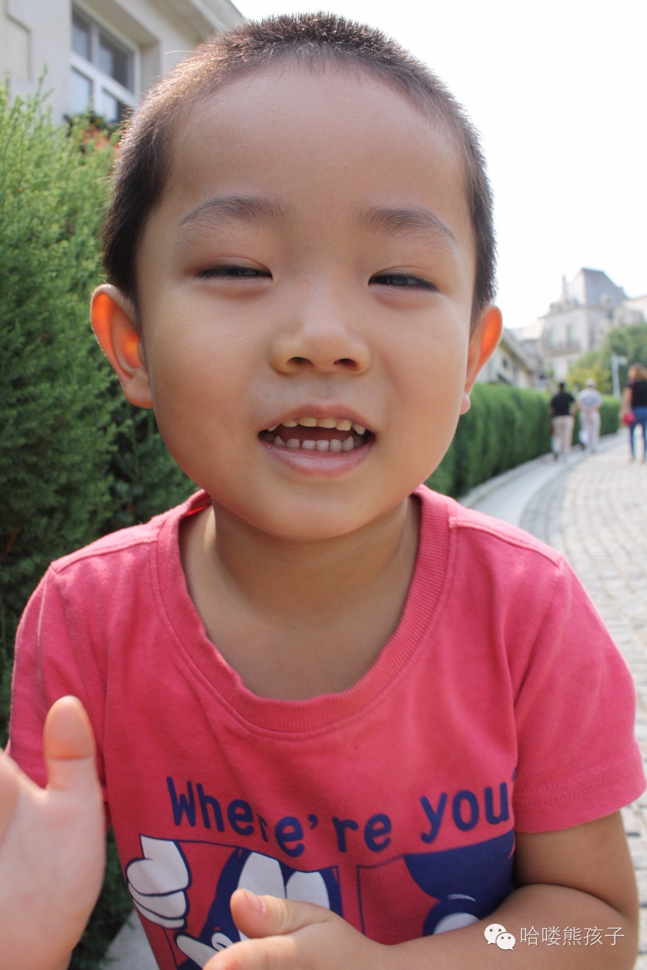 滚蛋吧拖延症,滚蛋吧幽门螺杆菌