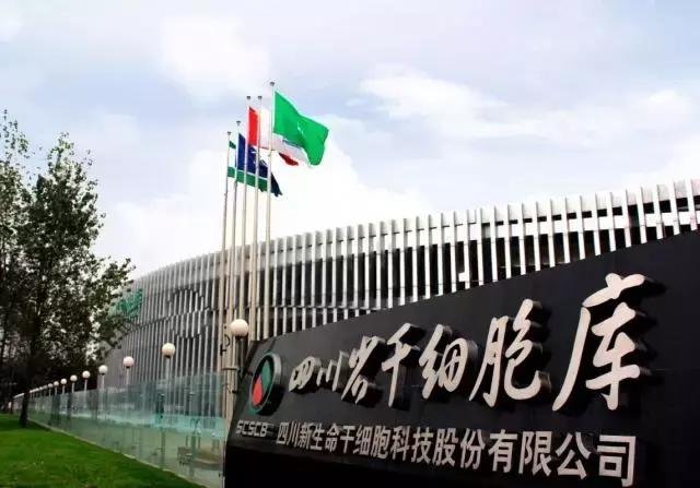 西博会签约成功项目,西博会总结