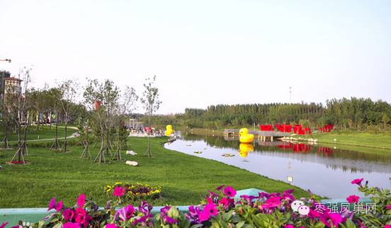 三年大变样给河北带来的影响,枣强县城的变迁