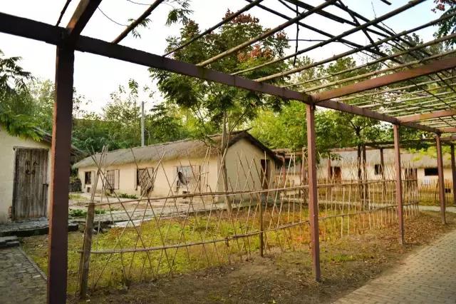 凤凰岛把公园还给你，你还欠自己一次隐居