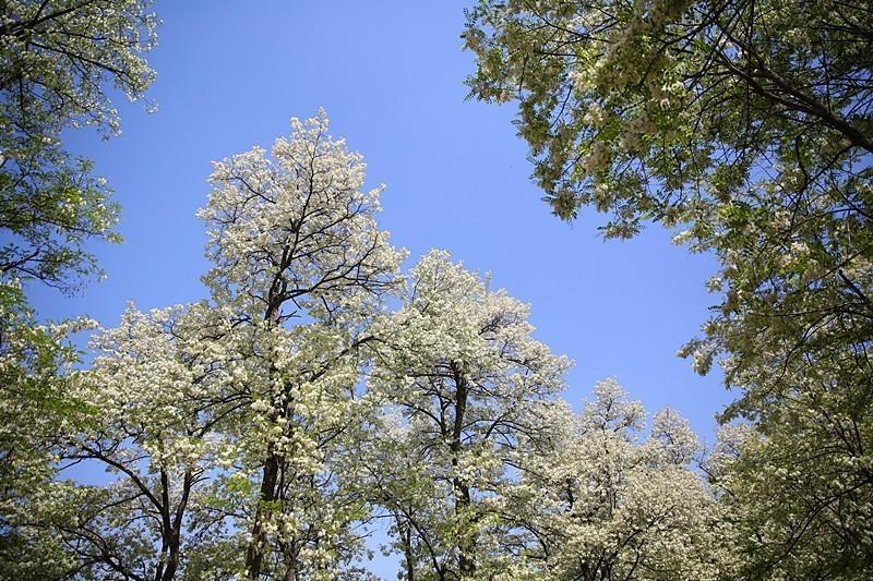 西安长安旅游怎么玩,西安长安游玩攻略