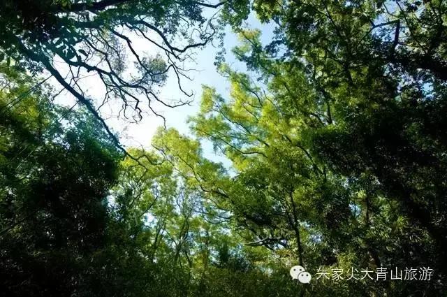 朱家尖自驾游攻略2日游国庆,普陀山朱家尖二日自驾游攻略