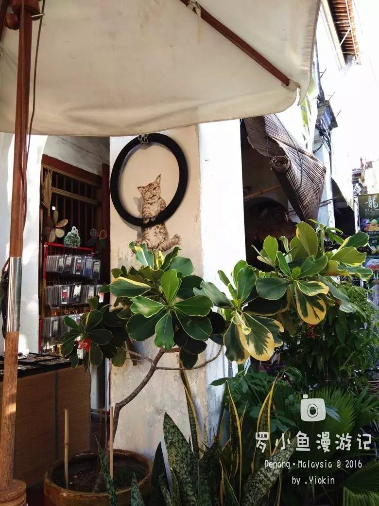 《爱上一座城》,因为一部剧爱上一座城