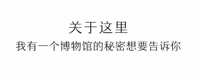 凤凰岛把公园还给你，你还欠自己一次隐居
