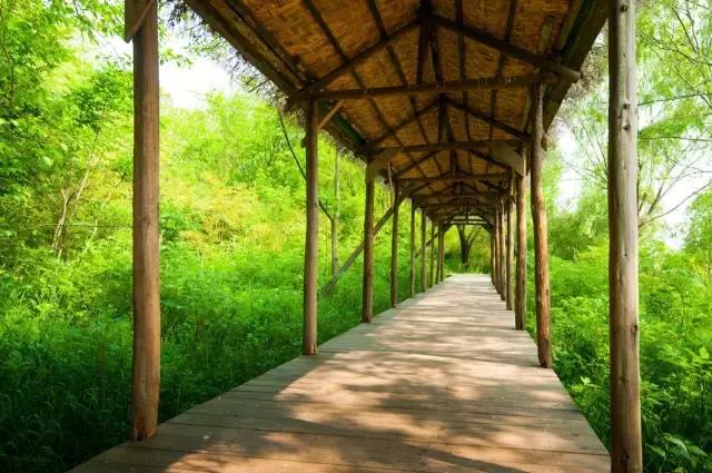 凤凰岛把公园还给你，你还欠自己一次隐居