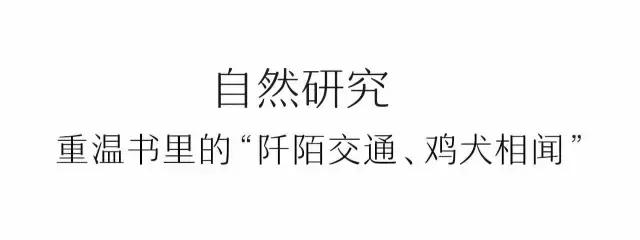 凤凰岛把公园还给你，你还欠自己一次隐居