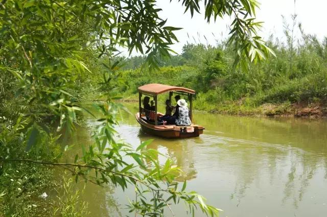 凤凰岛把公园还给你，你还欠自己一次隐居