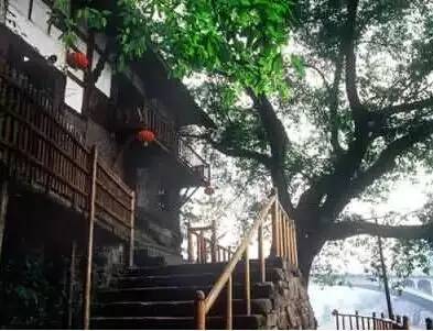 重庆十大旅游景点排名前十有哪些,重庆十大旅游景点最新