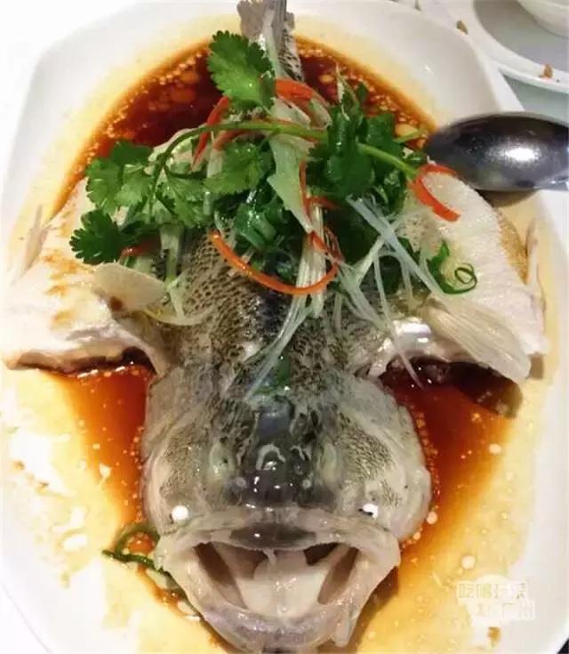 广州美食自助餐探店排行榜前十名,广州特色美食餐厅排行榜前十名