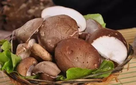 巴西男子身上莫名出现多处“鞭”痕，只因做了这件事...