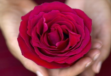 帮帮忙！宫颈糜烂患者还能用卫生棉条吗？