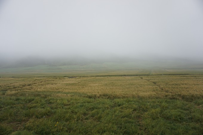 青海大西北之旅 (西宁青海湖张掖敦煌夏季之旅)