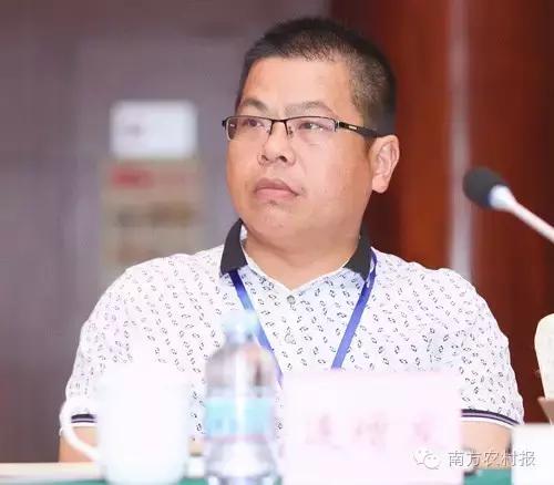 广东县域电商,广东省电商发展好的地方