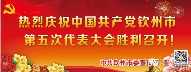 华为、七喜等名企助力，“钦州元素”绽放中国—东盟博览会