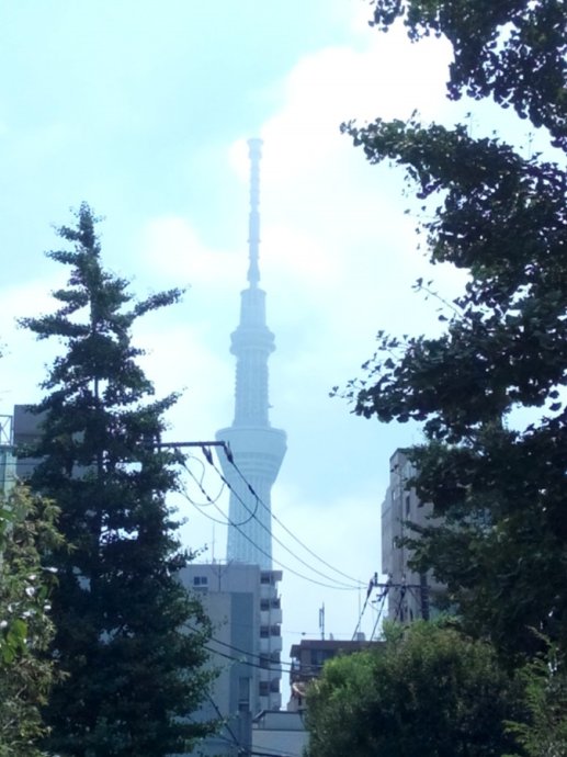 日本东京的城市特点,日本东京被称为什么