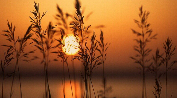 伤感的句子说说心情精选短语,伤感的说说心情短语句子