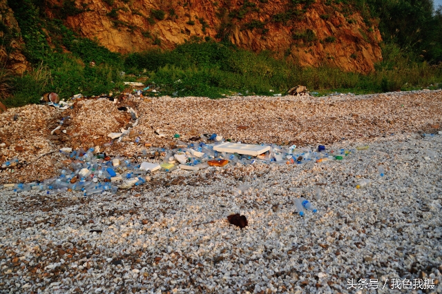 澶ц繛绾㈠矝,澶ц繛甯傞噾宸炲尯绾㈠矝