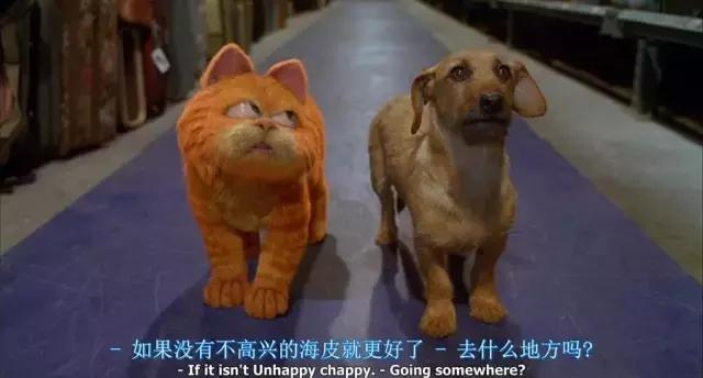 就让加菲毁掉你的中秋吧喵哈哈哈