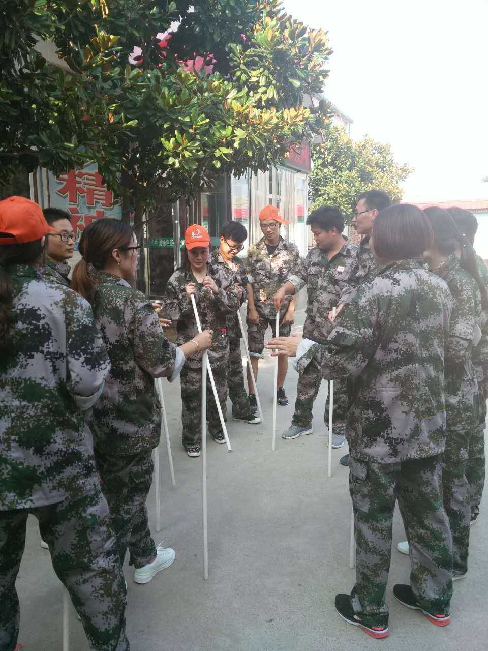 蓝鹰拓展训练营,蓝鸥培训好不好